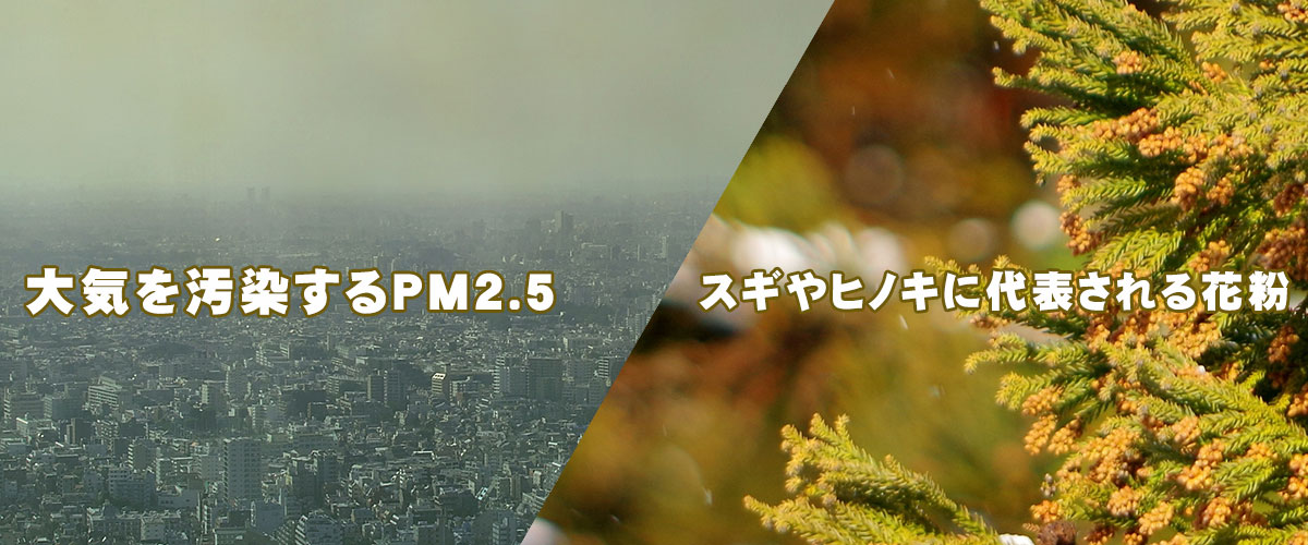 大気を汚染するPM2.5とスギやヒノキに代表される花粉