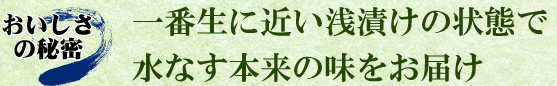 一番生に近い浅漬けの状態で水なす本来の味をお届け